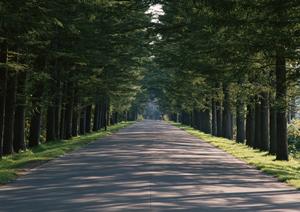 リストラ等で中国撤退が難しい理由